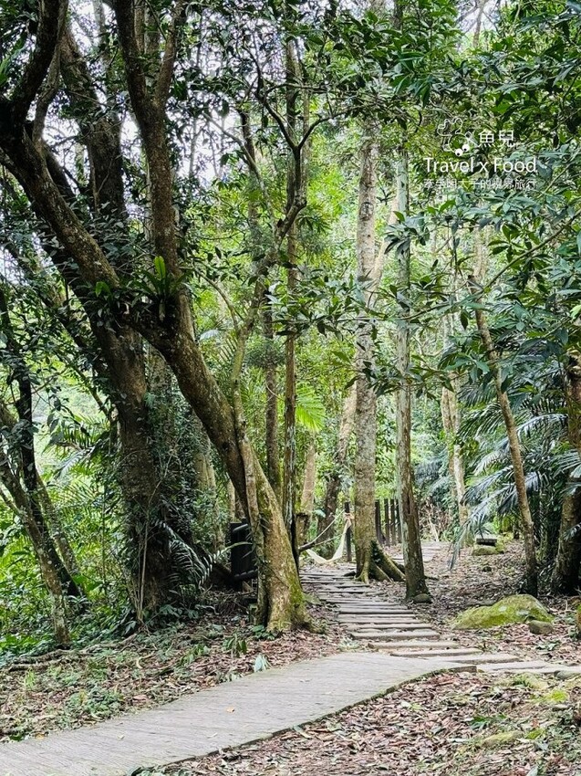 苗栗縣南庄鄉苗栗南庄免門票秘境!蓬萊溪自然生態園區,護魚步道走走趣~