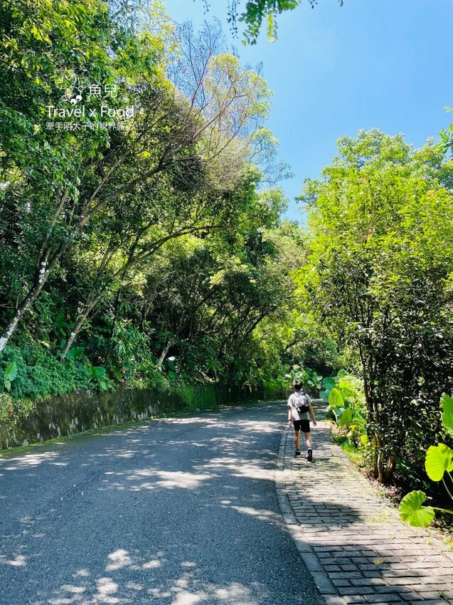 宜蘭冬山免門票景點「仁山植物園」，無障礙林蔭步道，四季健走好去處！ - 魚兒 x 牽手明太子的「視」界旅行