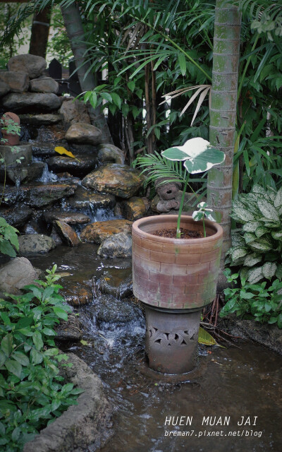 《泰國清邁自由行》Huen Muan Jai│米其林必比登推 huenmuanjai-13