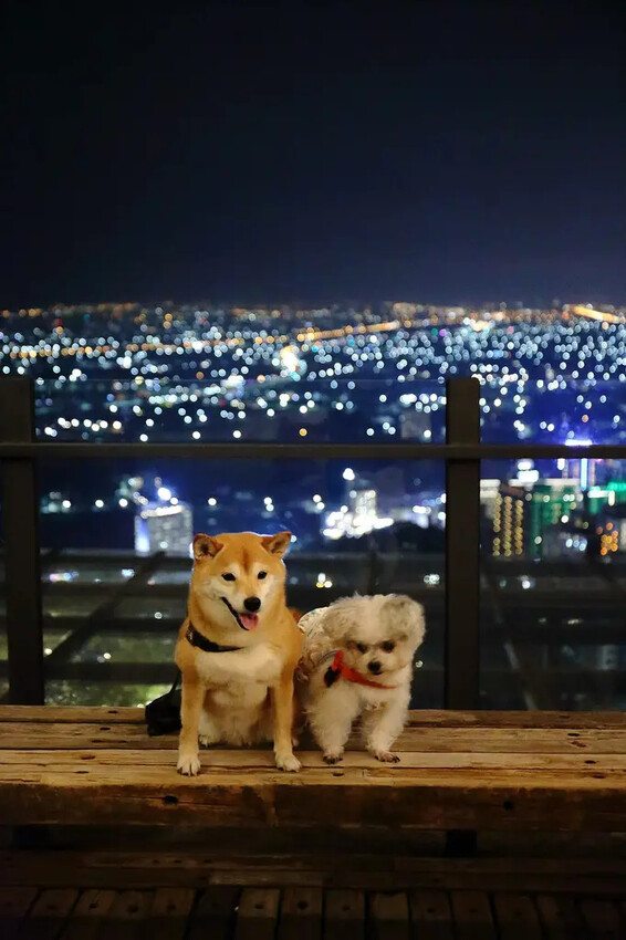 宜蘭必去無敵夜景!空ㄟ農場-宜蘭超人氣夜景餐廳,遠望龜山島、 宜蘭必去無敵夜景!空ㄟ農場-宜蘭超人氣夜景餐廳,遠望龜山島、