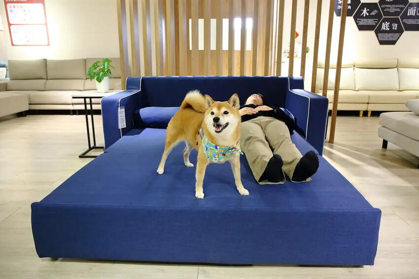 台北沙發推薦！愛加沙發總工廠，不踩雷沙發工廠就在這，台灣在地