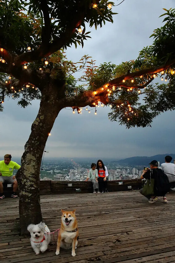 宜蘭必去無敵夜景!空ㄟ農場-宜蘭超人氣夜景餐廳,遠望龜山島、 宜蘭必去無敵夜景!空ㄟ農場-宜蘭超人氣夜景餐廳,遠望龜山島、