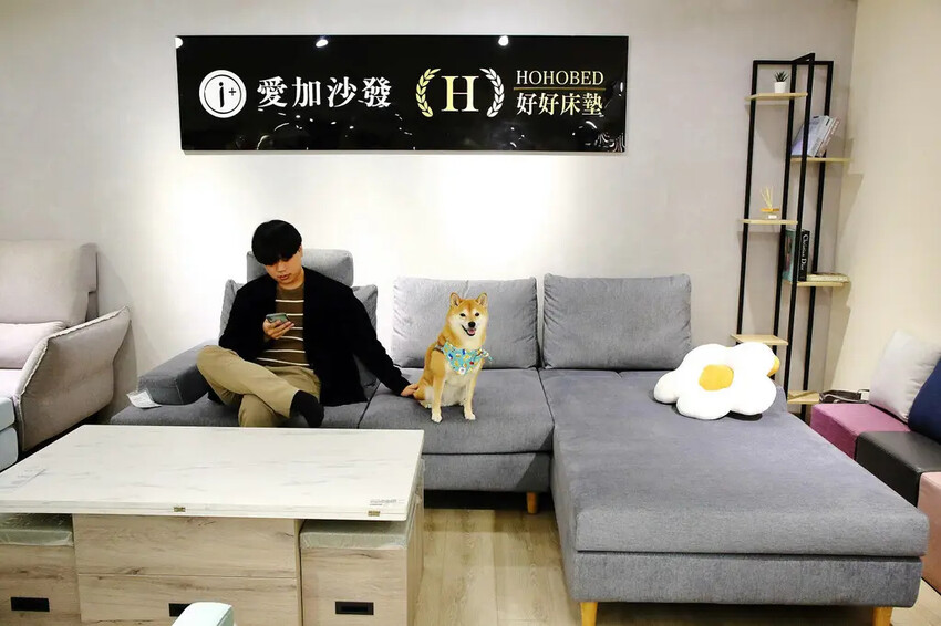 台北沙發推薦！愛加沙發總工廠，不踩雷沙發工廠就在這，台灣在地