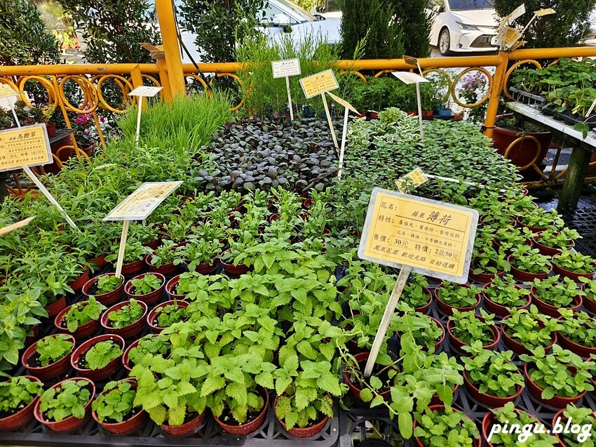 田尾公路花園這樣玩！一日遊必拍景點美食，騎協力車玩遍公路花園。