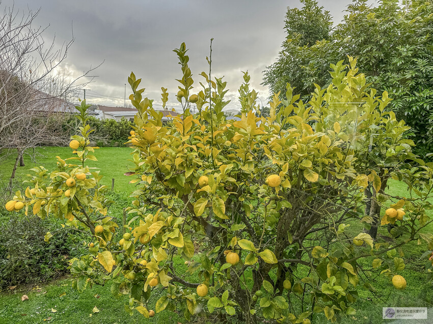 紐西蘭Villa住宿開箱|人均$1100羅托魯瓦歐風別墅住宿。