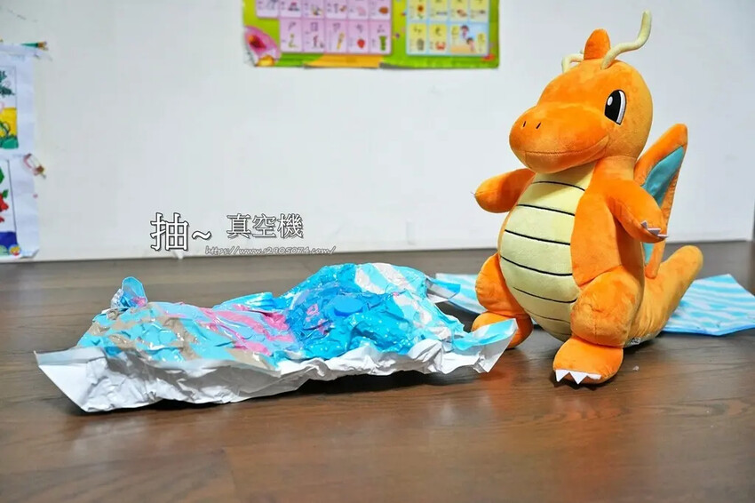 CHENG HONG 沙龍級專業負離子吹風機