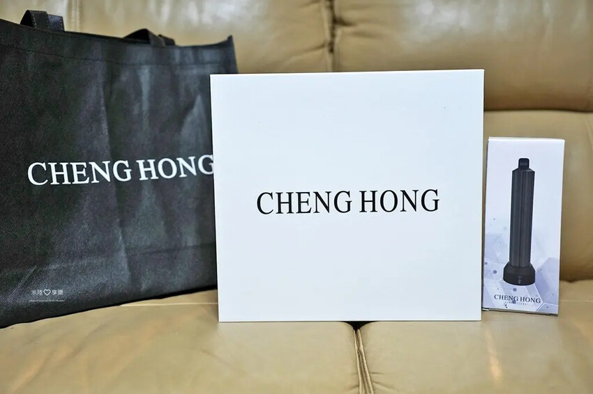 CHENG HONG 沙龍級專業負離子吹風機