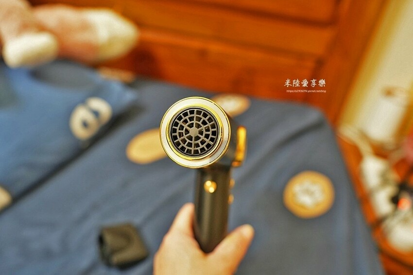 CHENG HONG 沙龍級專業負離子吹風機