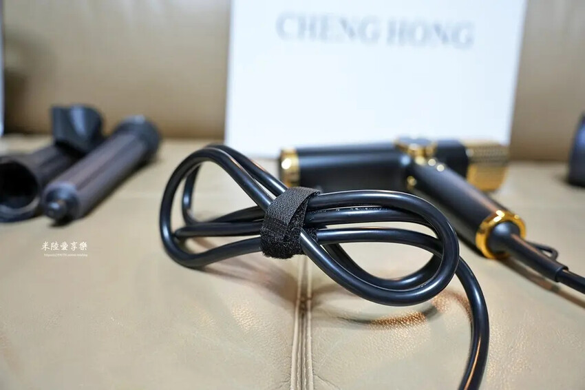 CHENG HONG 沙龍級專業負離子吹風機