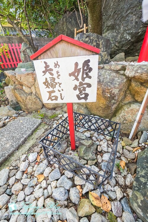 四國限定！眉山天神社福錢守每日限量30個，德島必訪神社。