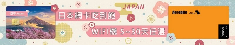 歐洲旅遊eSIM,Aerobile上網卡使用心得,出國上網卡推薦。
