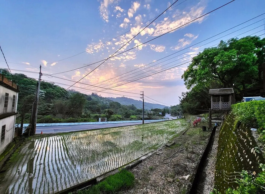 桃園楊梅【保甲古道】 桃園楊梅【保甲古道】