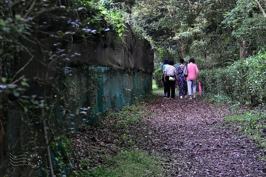 【保甲古道】 【保甲古道】