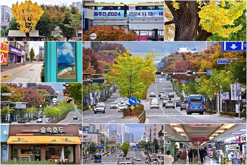 韓國大邱市初印象