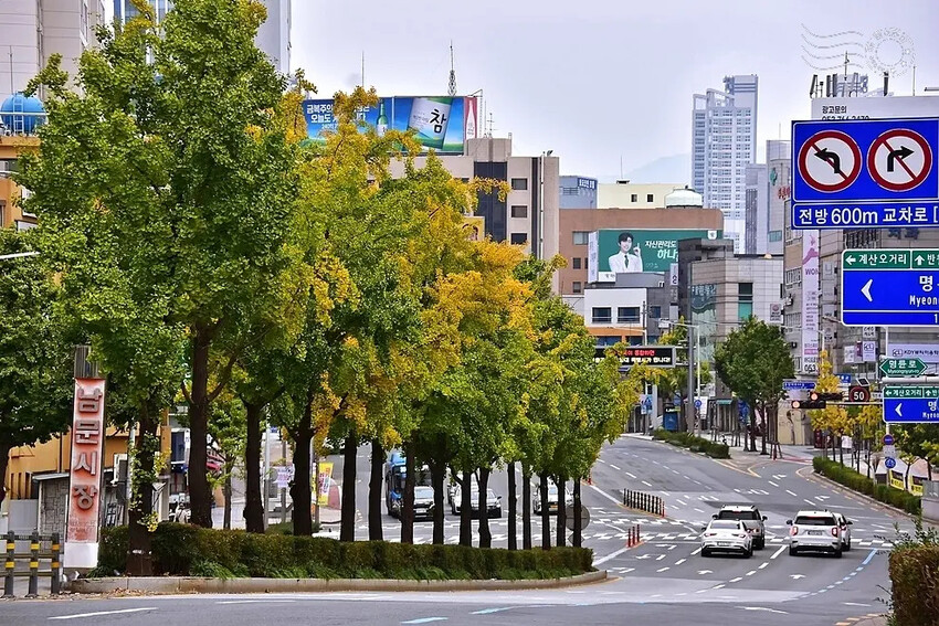 大邱市街景