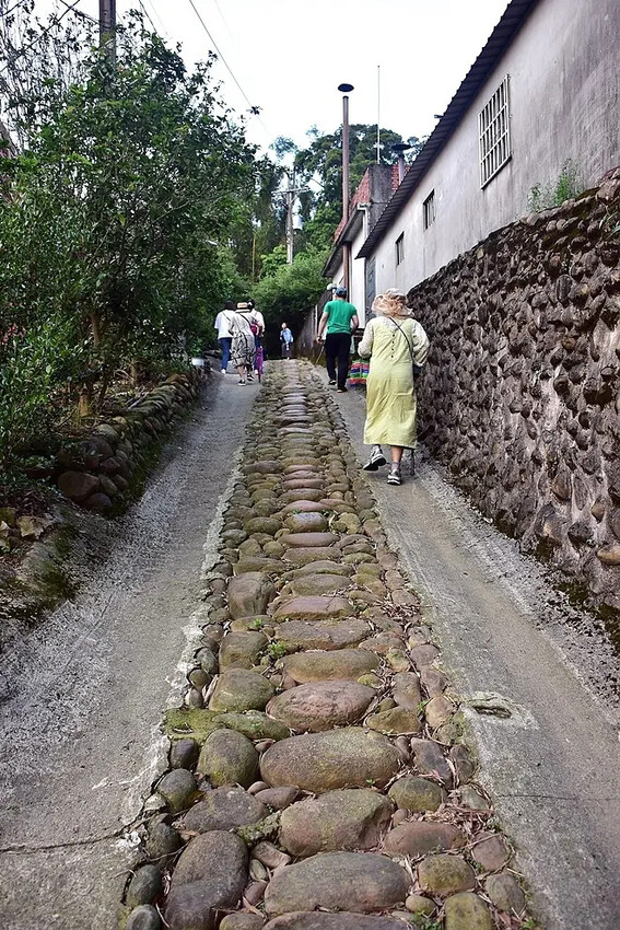 桃園楊梅【保甲古道】 桃園楊梅【保甲古道】
