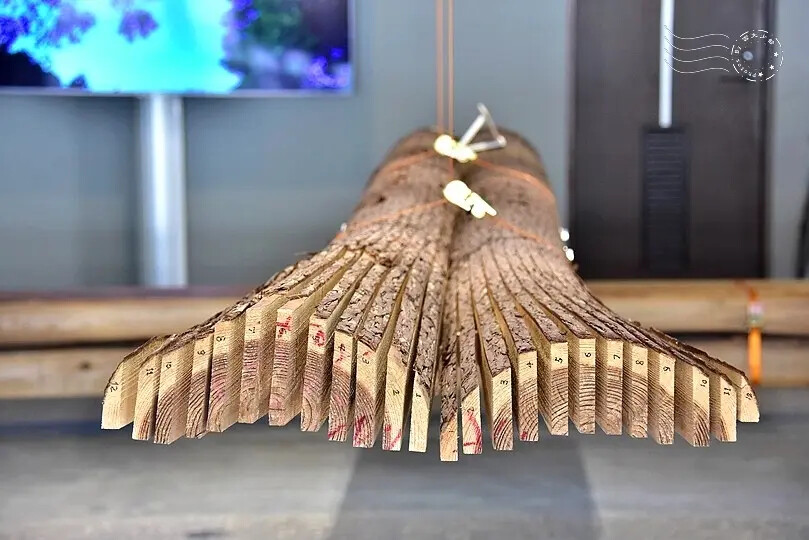 南港瓶蓋工廠台北製造所:杉木