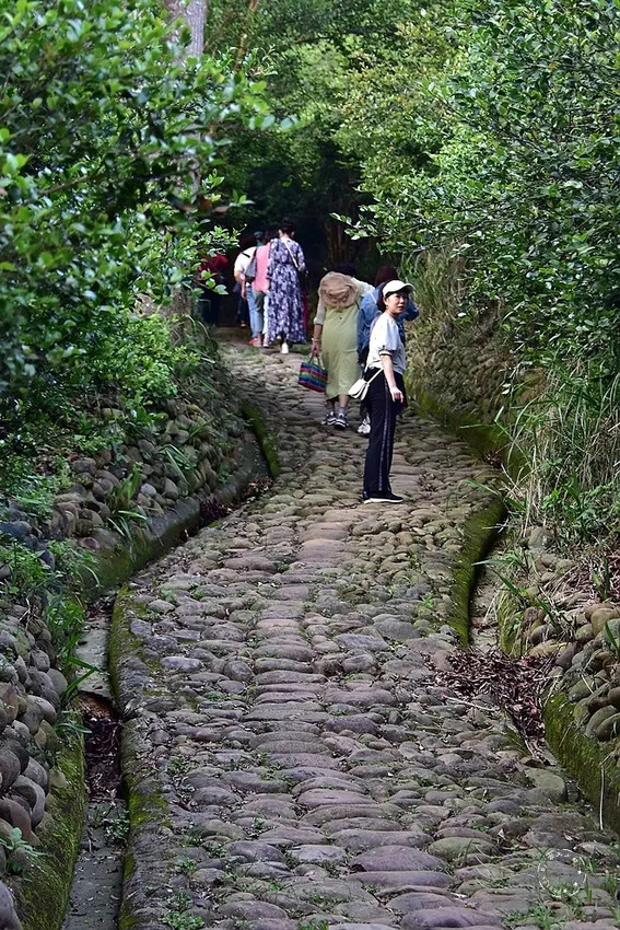 【保甲古道】 【保甲古道】