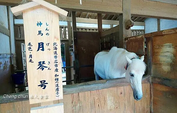 日本四國【金刀比羅宮】江戶時代流傳一生必參拜的神社,好逛、好 日本四國【金刀比羅宮】江戶時代流傳一生必參拜的神社,好逛、好