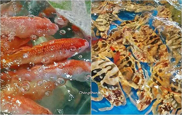 越南峴港吃海鮮【Bé Ni 2】美溪海灘周邊平價活海鮮餐廳種