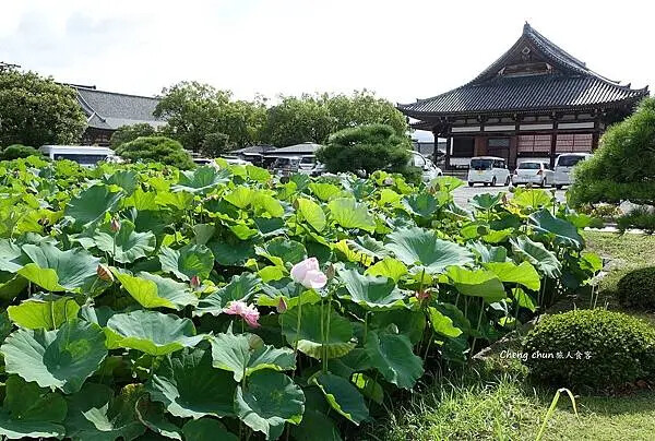 日本京都最古老的寺院【東寺】國寶巡禮隨記