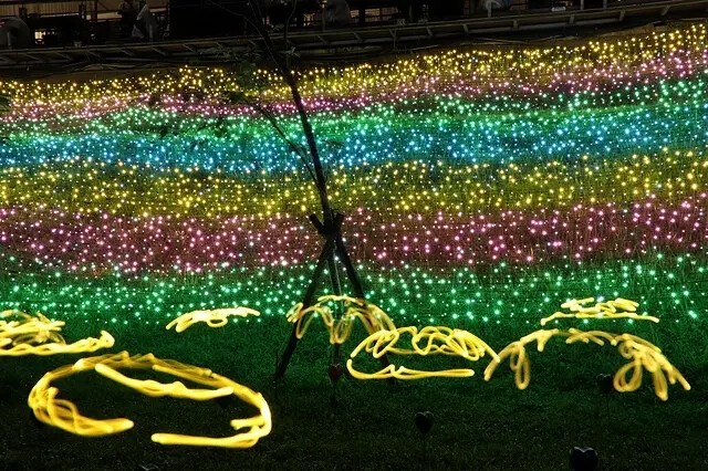 2025碧潭水舞季，活動日期：2025/5/24㊅ – 20