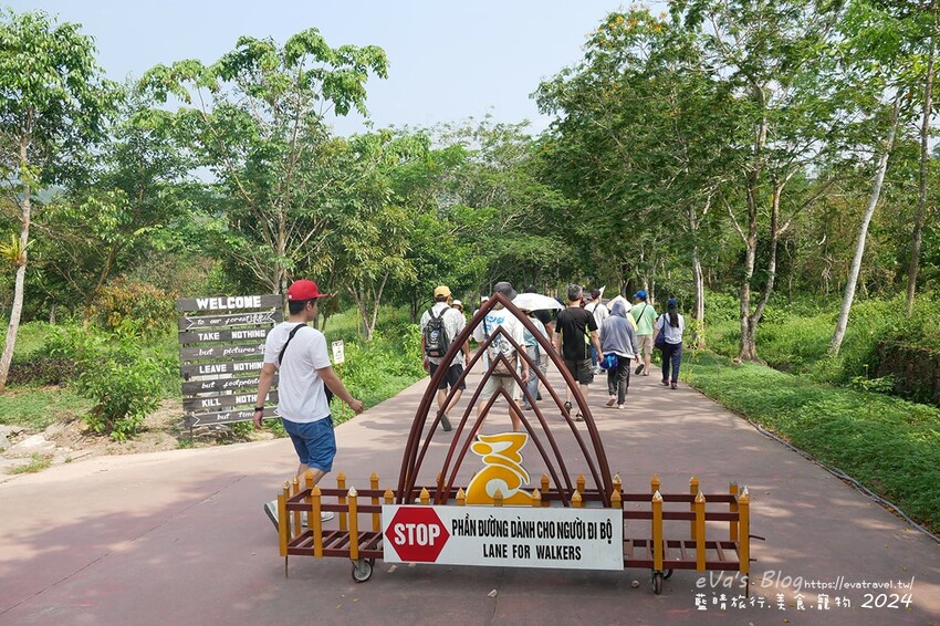 泰國【越南旅遊】美山聖地｜越南中部世界文化遺產的古文明遺跡、占婆王國遺址、千年建築技術與傳統舞蹈體驗。越南景點