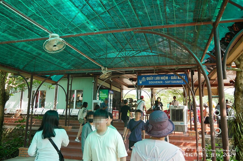 泰國【越南旅遊】美山聖地｜越南中部世界文化遺產的古文明遺跡、占婆王國遺址、千年建築技術與傳統舞蹈體驗。越南景點
