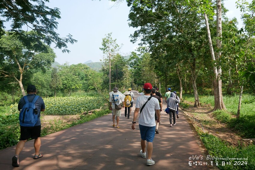 泰國【越南旅遊】美山聖地｜越南中部世界文化遺產的古文明遺跡、占婆王國遺址、千年建築技術與傳統舞蹈體驗。越南景點