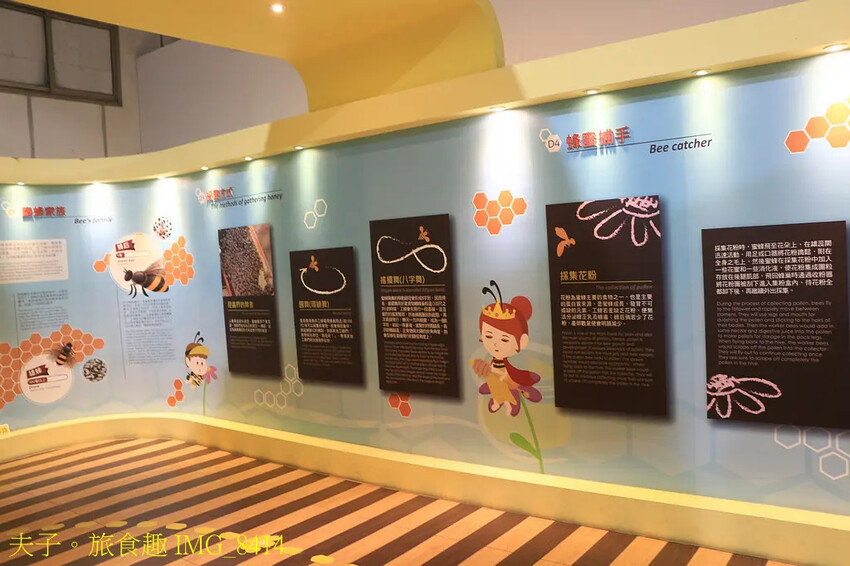 東和蜂文化觀光工廠 我與蜜蜂的近距離接觸