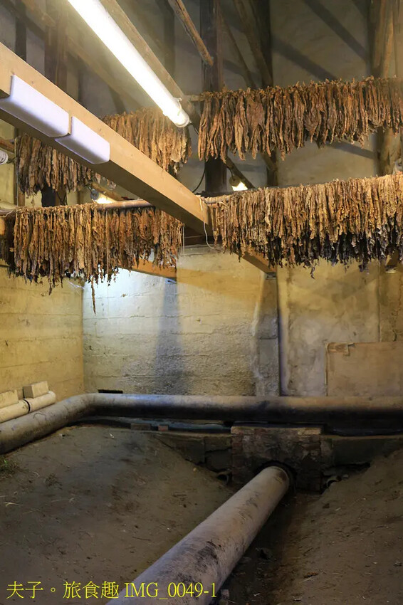 花蓮食農碳匯新魅力 馬太鞍欣綠農園 X 立川漁場 X 植樹減 花蓮食農碳匯新魅力 馬太鞍欣綠農園 X 立川漁場 X 植樹減