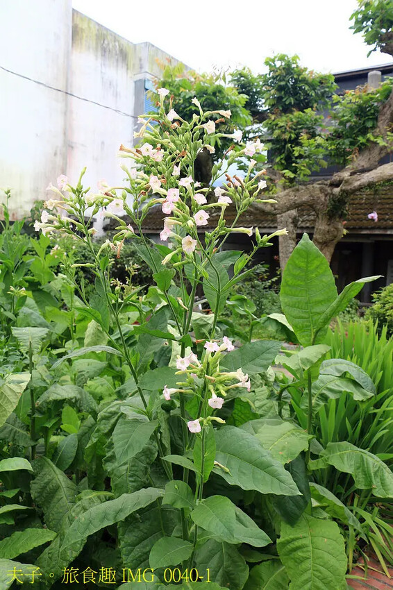 花蓮食農碳匯新魅力 馬太鞍欣綠農園 X 立川漁場 X 植樹減 花蓮食農碳匯新魅力 馬太鞍欣綠農園 X 立川漁場 X 植樹減
