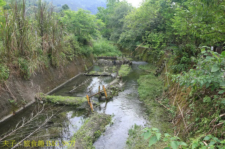 花蓮食農碳匯新魅力 馬太鞍欣綠農園 X 立川漁場 X 植樹減 花蓮食農碳匯新魅力 馬太鞍欣綠農園 X 立川漁場 X 植樹減