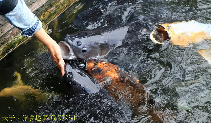 花蓮食農碳匯新魅力 馬太鞍欣綠農園 X 立川漁場 X 植樹減 花蓮食農碳匯新魅力 馬太鞍欣綠農園 X 立川漁場 X 植樹減