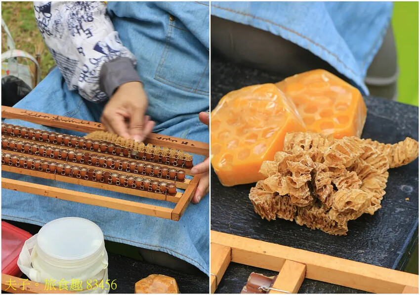 東和蜂文化觀光工廠 我與蜜蜂的近距離接觸