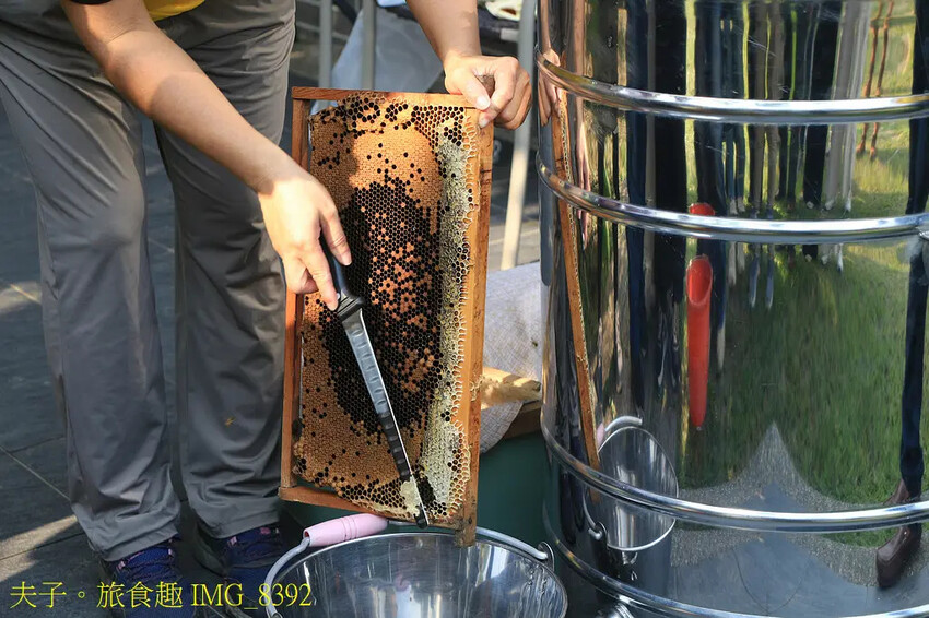 東和蜂文化觀光工廠 我與蜜蜂的近距離接觸