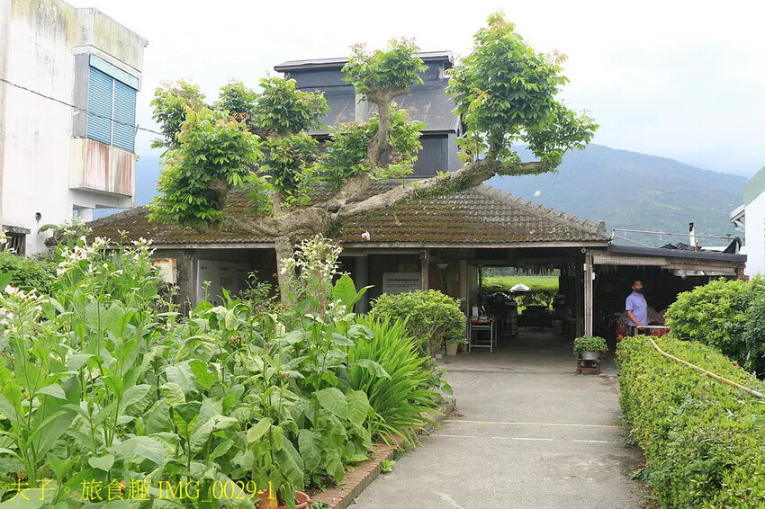 花蓮食農碳匯新魅力 馬太鞍欣綠農園 X 立川漁場 X 植樹減 花蓮食農碳匯新魅力 馬太鞍欣綠農園 X 立川漁場 X 植樹減