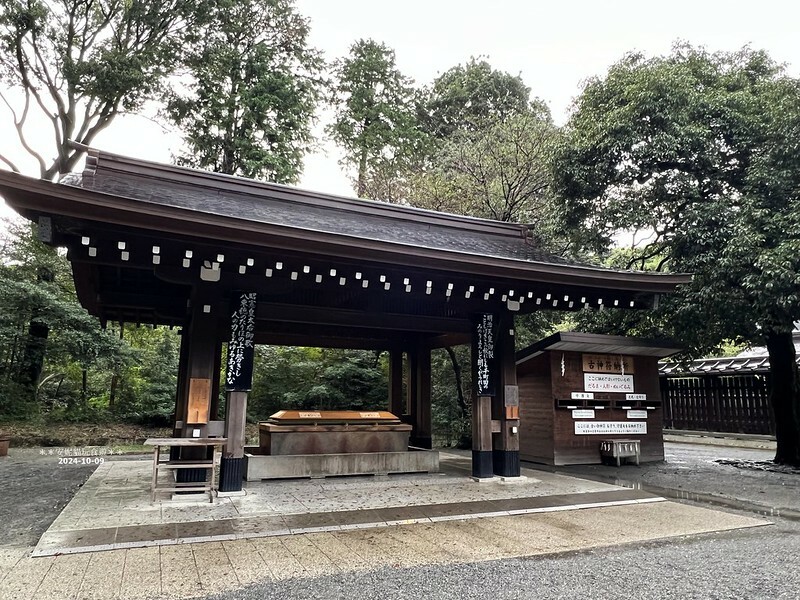 日本【2024日本關東。哈利波特的東京之旅】雨中的明治神宮（二訪）