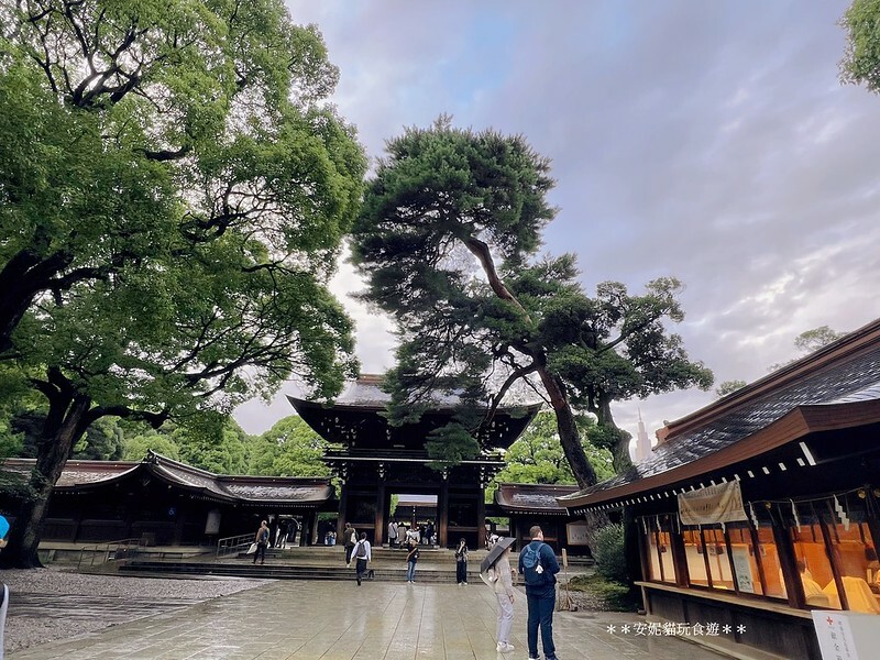 日本【2024日本關東。哈利波特的東京之旅】雨中的明治神宮（二訪）