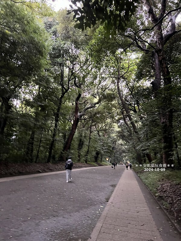 日本【2024日本關東。哈利波特的東京之旅】雨中的明治神宮（二訪）