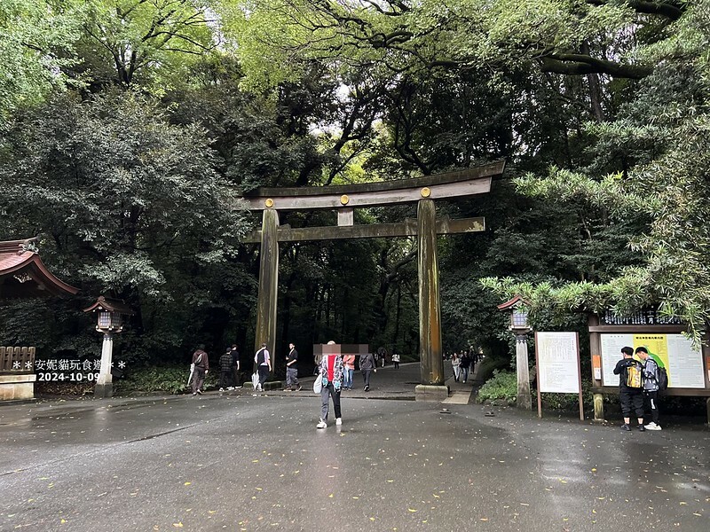 日本【2024日本關東。哈利波特的東京之旅】雨中的明治神宮（二訪）