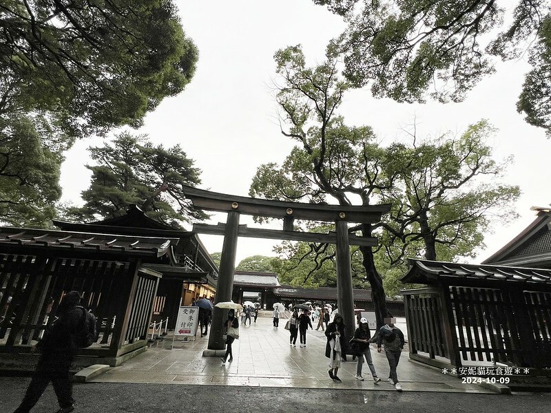 日本【2024日本關東。哈利波特的東京之旅】雨中的明治神宮（二訪）
