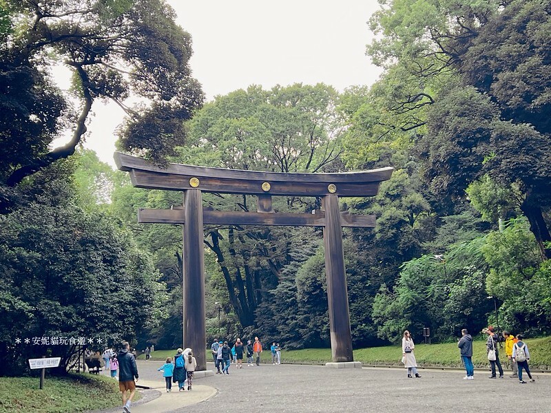 日本【2024日本關東。哈利波特的東京之旅】雨中的明治神宮（二訪）