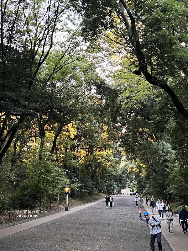 日本【2024日本關東。哈利波特的東京之旅】雨中的明治神宮（二訪）