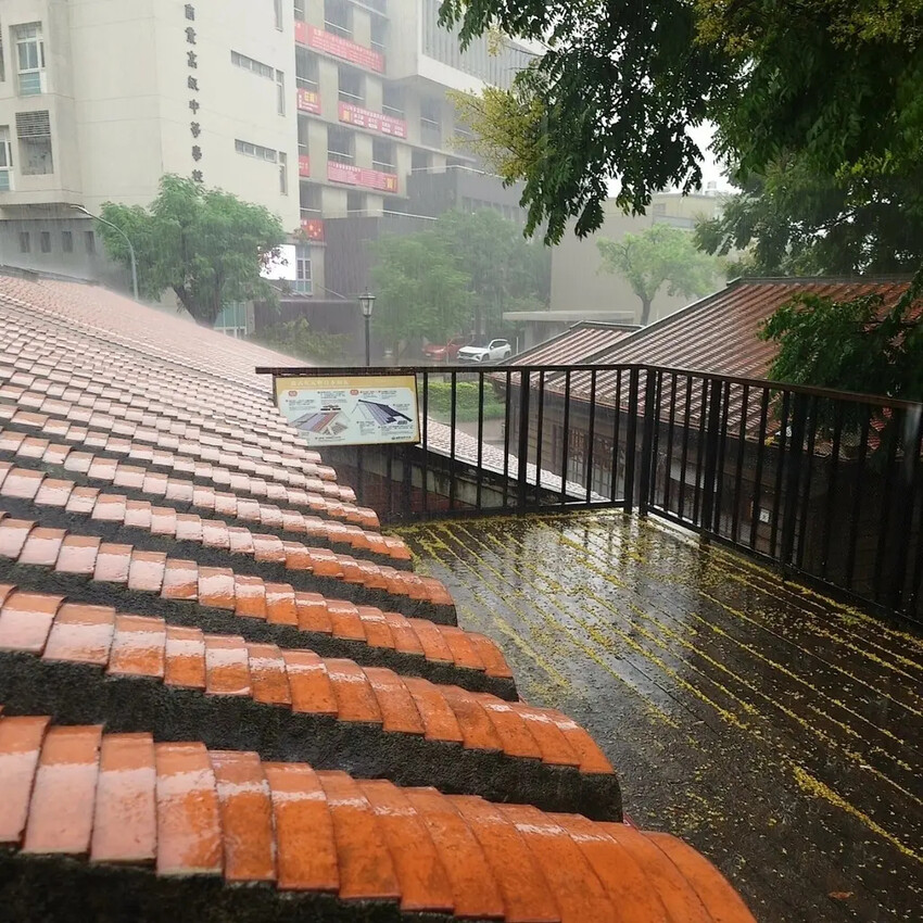 中壢文青景點必訪！壢小故事森林走讀趣。