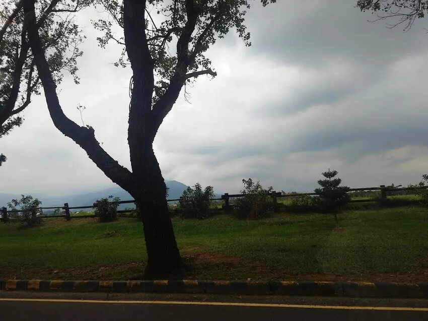 三地門霧台神山愛玉必吃！超便宜又消暑必訪。