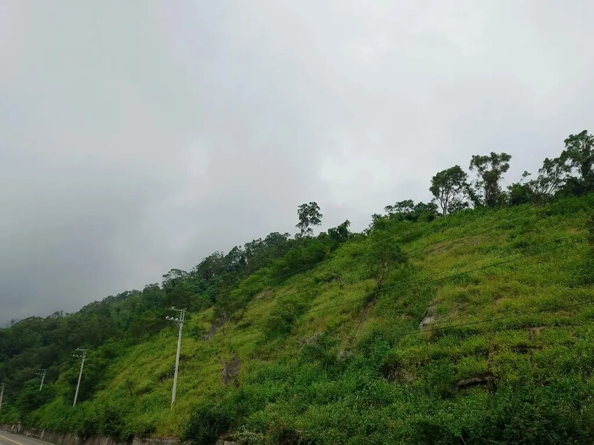 三地門霧台神山愛玉必吃！超便宜又消暑必訪。