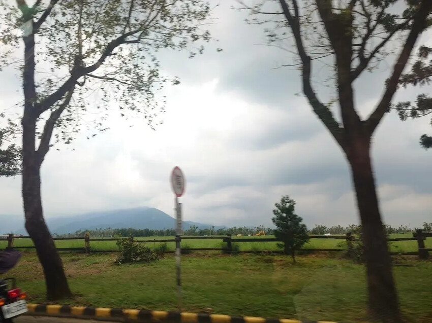 三地門霧台神山愛玉必吃！超便宜又消暑必訪。