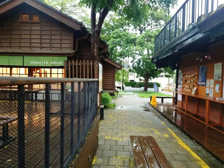 中壢文青景點必訪！壢小故事森林走讀趣。