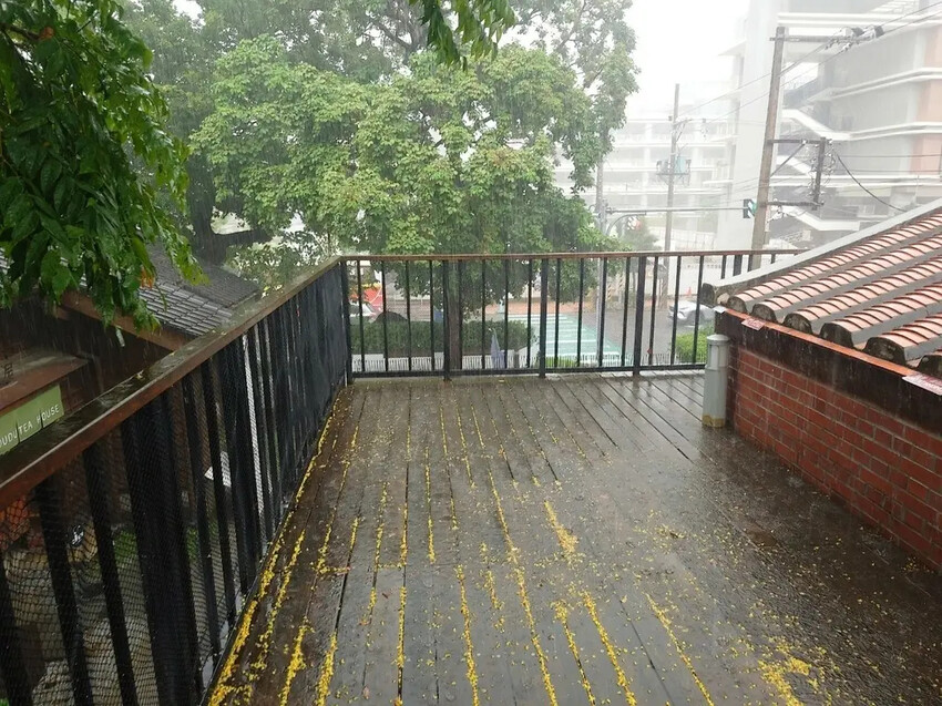 中壢文青景點必訪！壢小故事森林走讀趣。